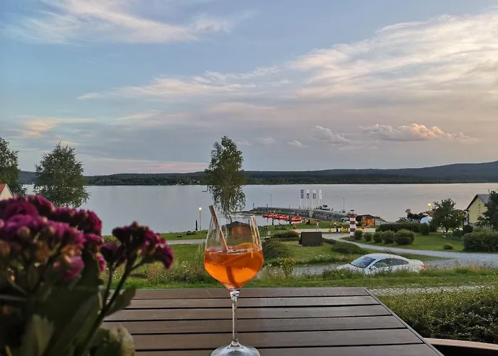 Pohoda U Lipna 公寓 *